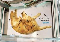 Curiosities and bonus pictures Curiosities and bonus pictures