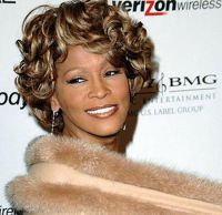 Curiosities and bonus pictures Curiosities and bonus pictures