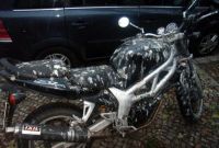 Curiosities and bonus pictures Curiosities and bonus pictures