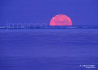 Curiosities and bonus pictures Curiosities and bonus pictures