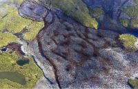 Curiosities and bonus pictures