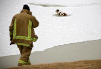 Curiosities and bonus pictures