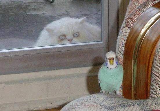 How to spoil a photo (103 pics)