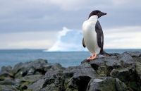 Curiosities and bonus pictures