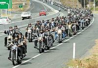 Curiosities and bonus pictures