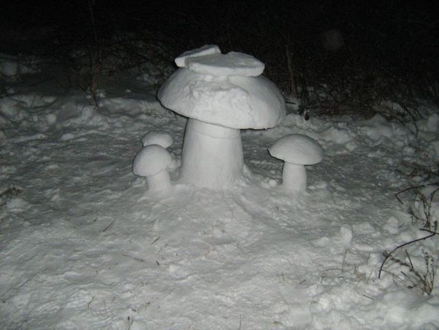 Daily picdump (89 pics)