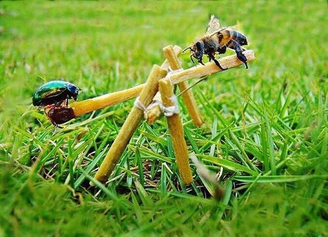 Daily picdump (89 pics)