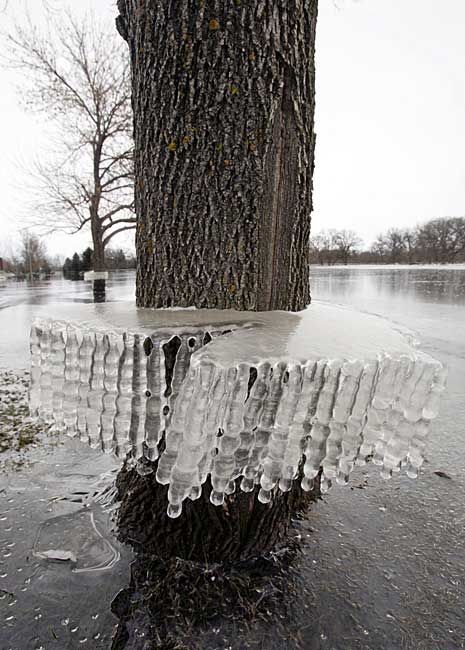 Daily picdump (89 pics)