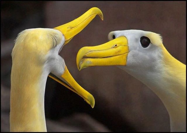 Daily picdump (89 pics)