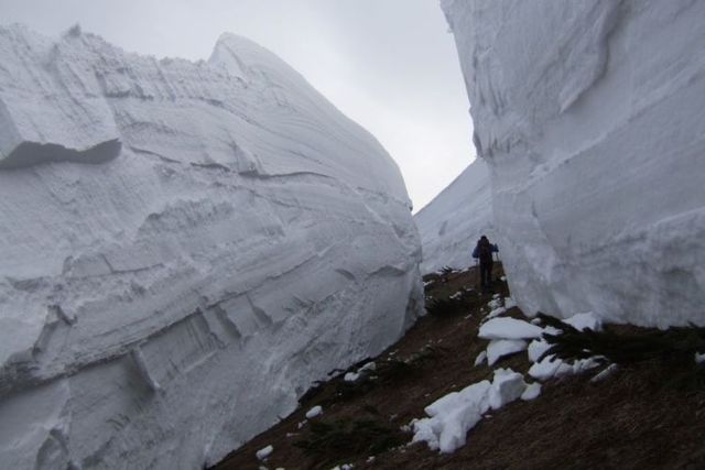 Daily picdump (89 pics)