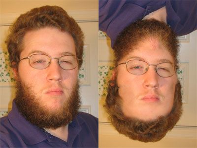 Curiosities and bonus pictures