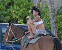 Curiosities and bonus pictures