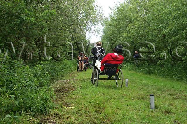 Let’s play - Pony (32 pics)