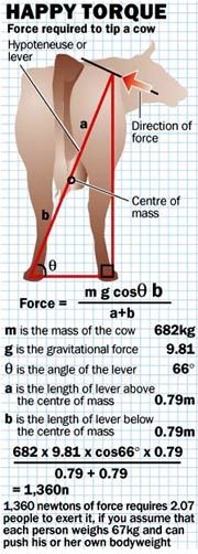 Daily picdump (96 pics)