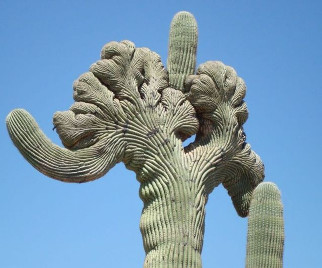 Daily picdump (96 pics)