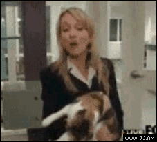 Collection of funny gif animations (53 gifs)