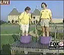 Collection of funny gif animations (53 gifs)