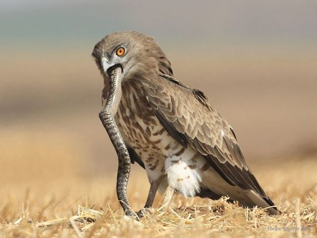 Daily picdump (119 pics)