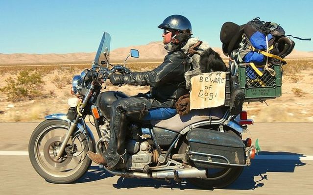 Daily picdump (119 pics)