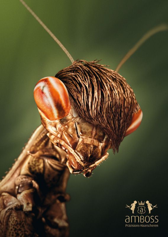 Daily picdump (119 pics)