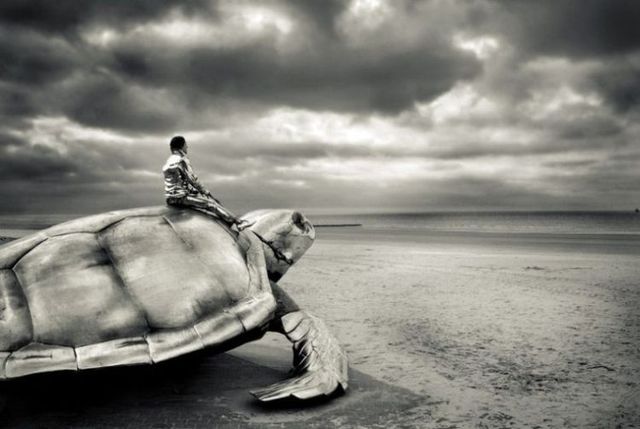 Daily picdump (119 pics)