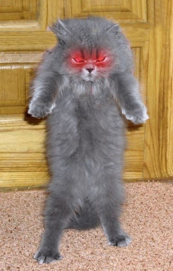 Daily picdump (119 pics)