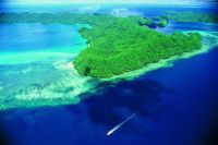 Curiosities and bonus pictures