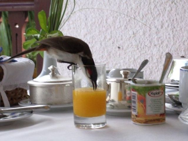 Daily picdump (104 pics)