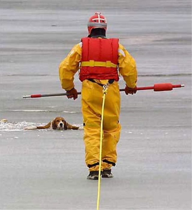 Daily picdump (104 pics)