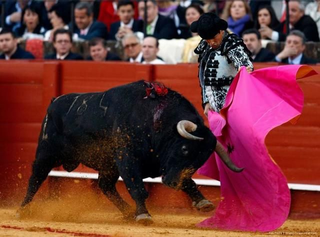 Daily picdump (104 pics)