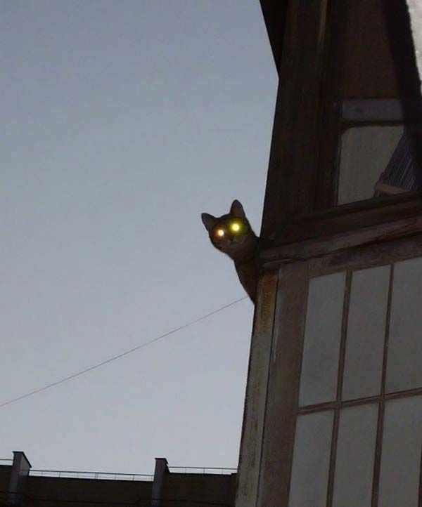 Daily picdump (104 pics)