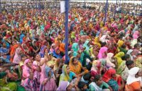 Curiosities and bonus pictures