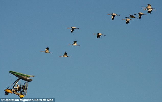 Daily picdump (107 pics)