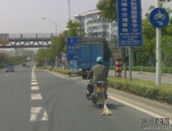 Daily picdump (107 pics)