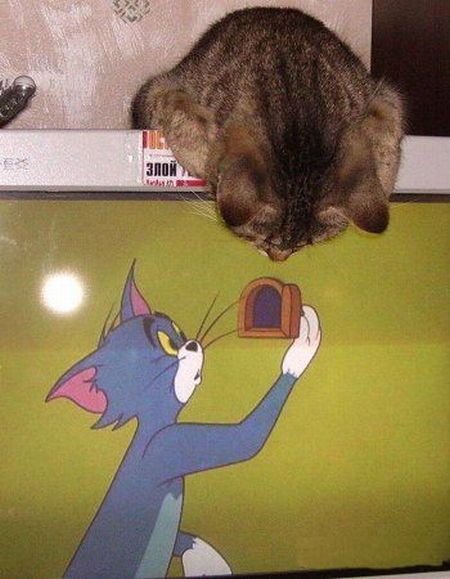 Daily picdump (107 pics)