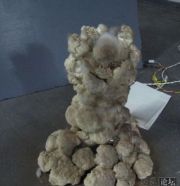 Curiosities and bonus pictures