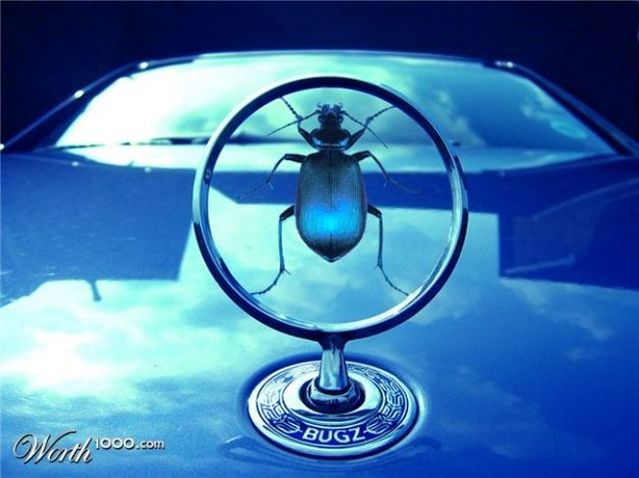 Daily picdump (122 pics)