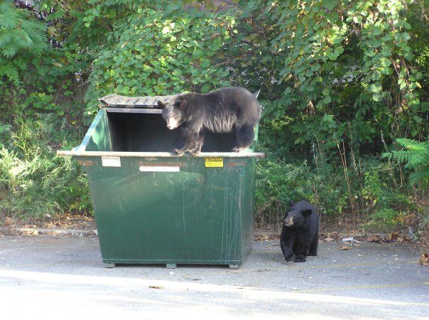 Daily picdump (122 pics)