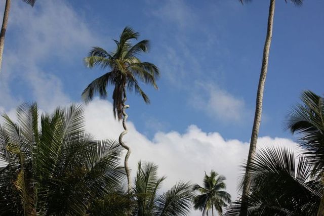 Daily picdump (122 pics)