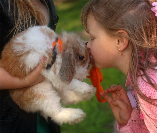 Daily picdump (122 pics)