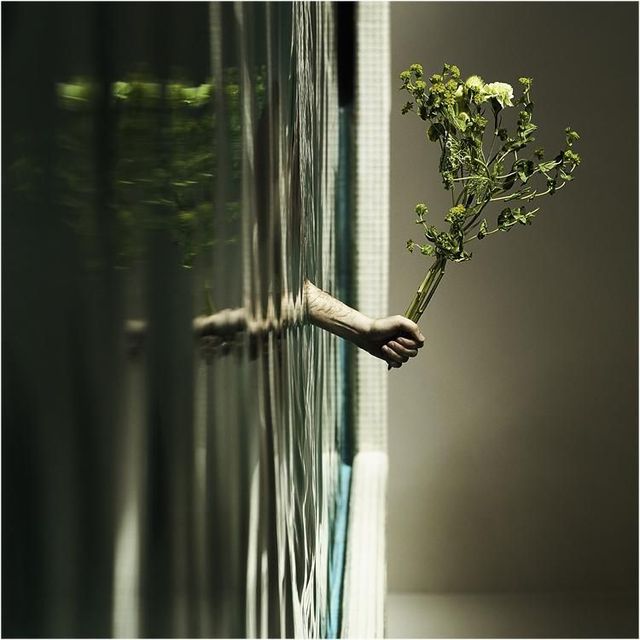 Daily picdump (122 pics)