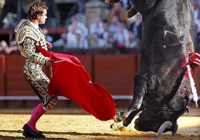 Daily picdump (122 pics)