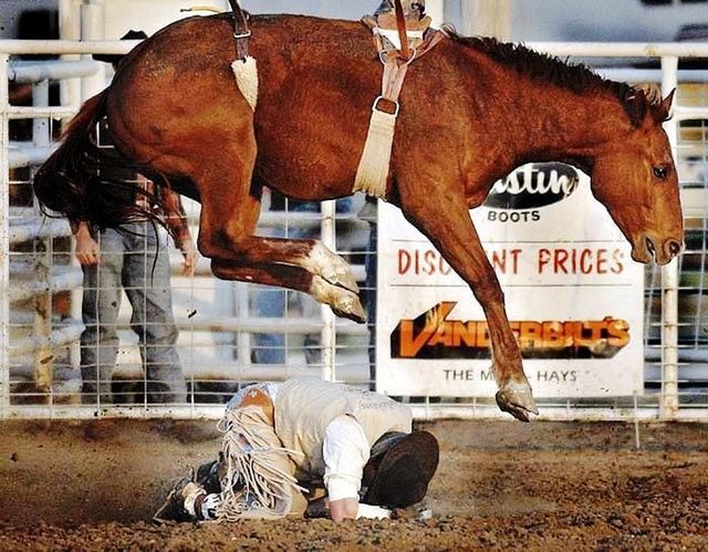 Daily picdump (122 pics)