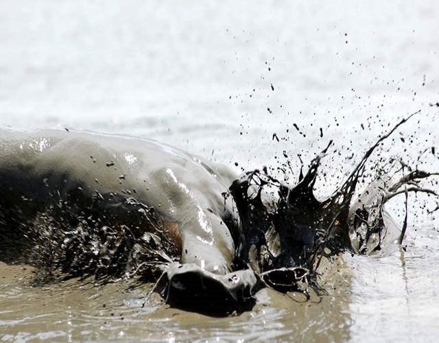 Curiosities and bonus pictures