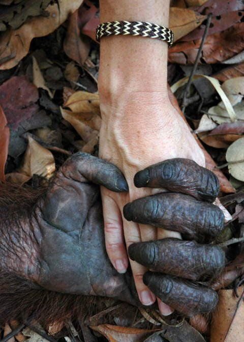 Daily picdump (108 pics)