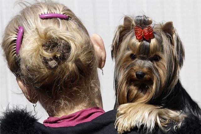 Daily picdump (96 pics)