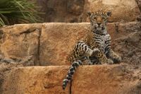 Curiosities and bonus pictures