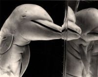 Curiosities and bonus pictures