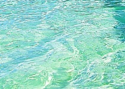 Curiosities and bonus pictures