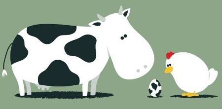 Curiosities and bonus pictures